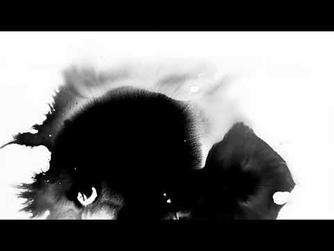 Ink drop shadow Transition Stock Video | Black Effect Copyright free video | Pixadisc