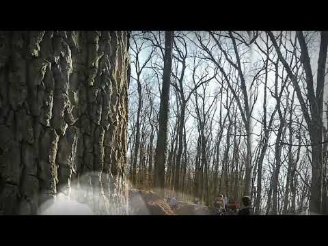 Timișoara, prietenii mei, bicicliștii, pentru voi.. Etc. Part:2.