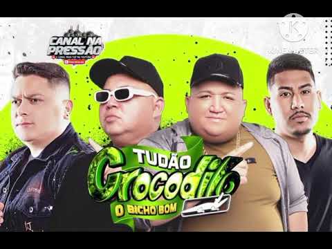 SET (AOVIVO) TUDAO CROCODILO EM IRITUIA NO FESTIVAL DA CULTURA 27/07/25