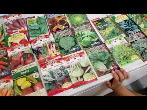 download lagu mp3 mp4 Pacific Vegetables, download lagu Pacific Vegetables gratis, unduh video klip Pacific Vegetables