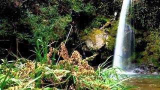 Cover art for The Beauty Of It All