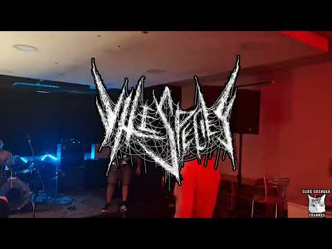 Vile Species live at N.A.O.S, Athens, GR (6/7/2024 - Grindcore)