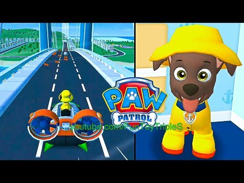 PAW Patrol: A Day in Adventure Bay - Zuma #1