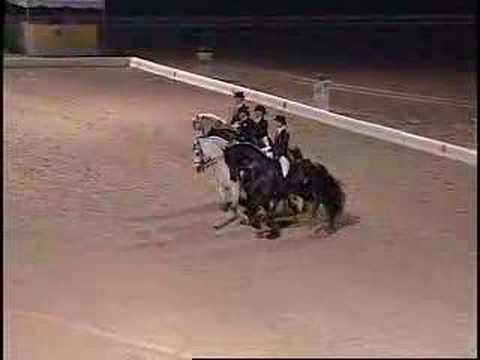 Friesian, Andalusian, Lusitano Quadrille