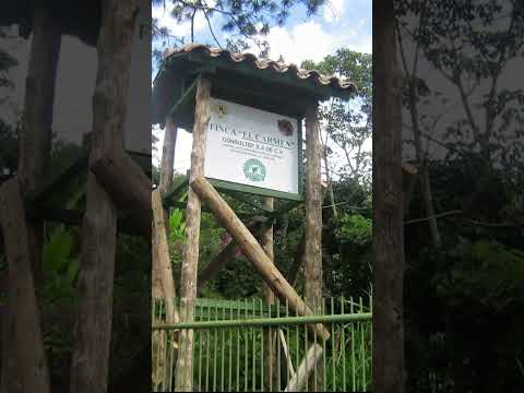 JAYAQUE EL TOUR DEL CAFÉ: #seguidores #sv #inspiración #motivacion #viralreels #fb