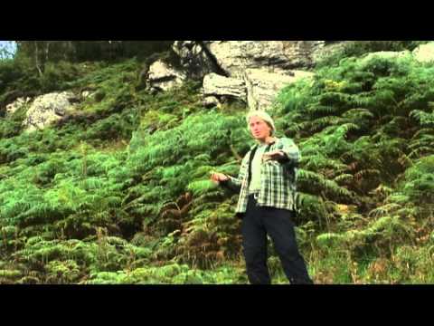 Taliesin by Kevan Manwaring