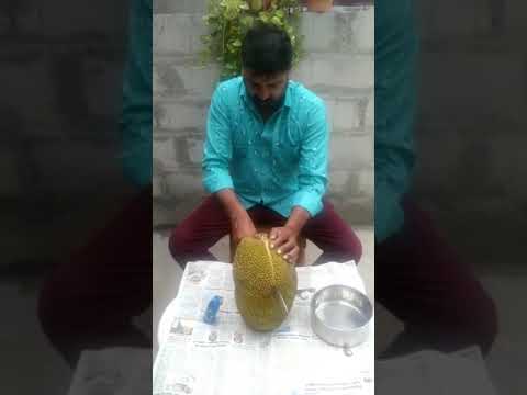 Jackfruit cutting skill,#subscribe#Shareena shahul