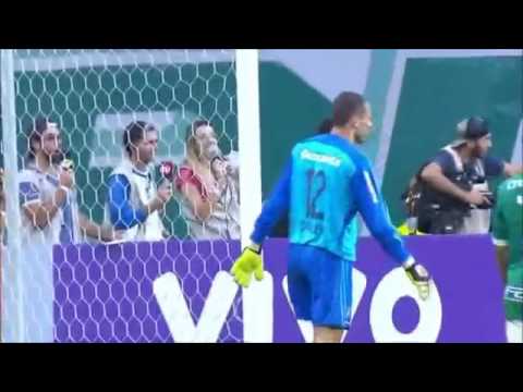 Palmeiras 2 x 0 Fluminense   GOLS e Melhores Momentos   Brasileirão 26/05/2016