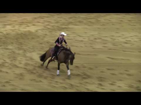 Draw 15 Back 3125 FS Einstein Dun It Rachel Munday