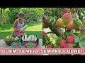 PORTUGUESA NO CAMPO COMO ESTÁ A HORTA DEPOIS DAS FÉRIAS Vidanocampo Vidasimles Simpleliving