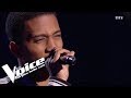 Céline Dion - Starmania - Ziggy | Shaun | The Voice 2019 | Blind Audition