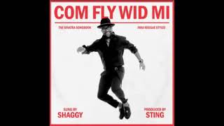 Shaggy - Luck Be a Lady
