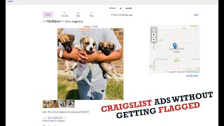 Craigslist Ad Posting Tutorial - Without Getting Flagged [ Puppies Ads ]