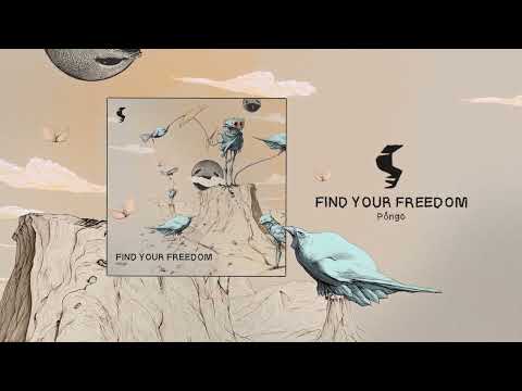 Pôngo - Find Your Freedom [Siona Records]