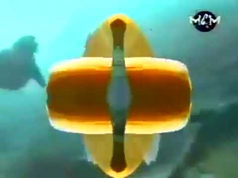 Legend b - Lost in love ( 1994 )