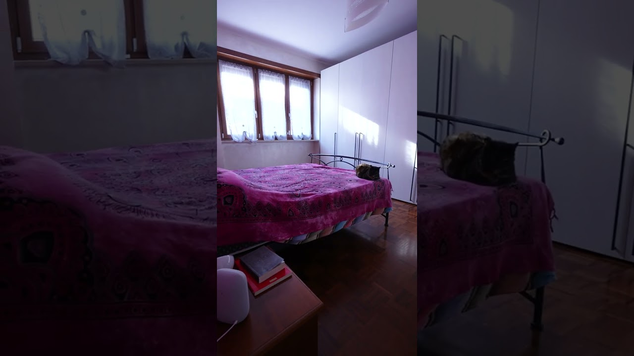 Appartamento - Video