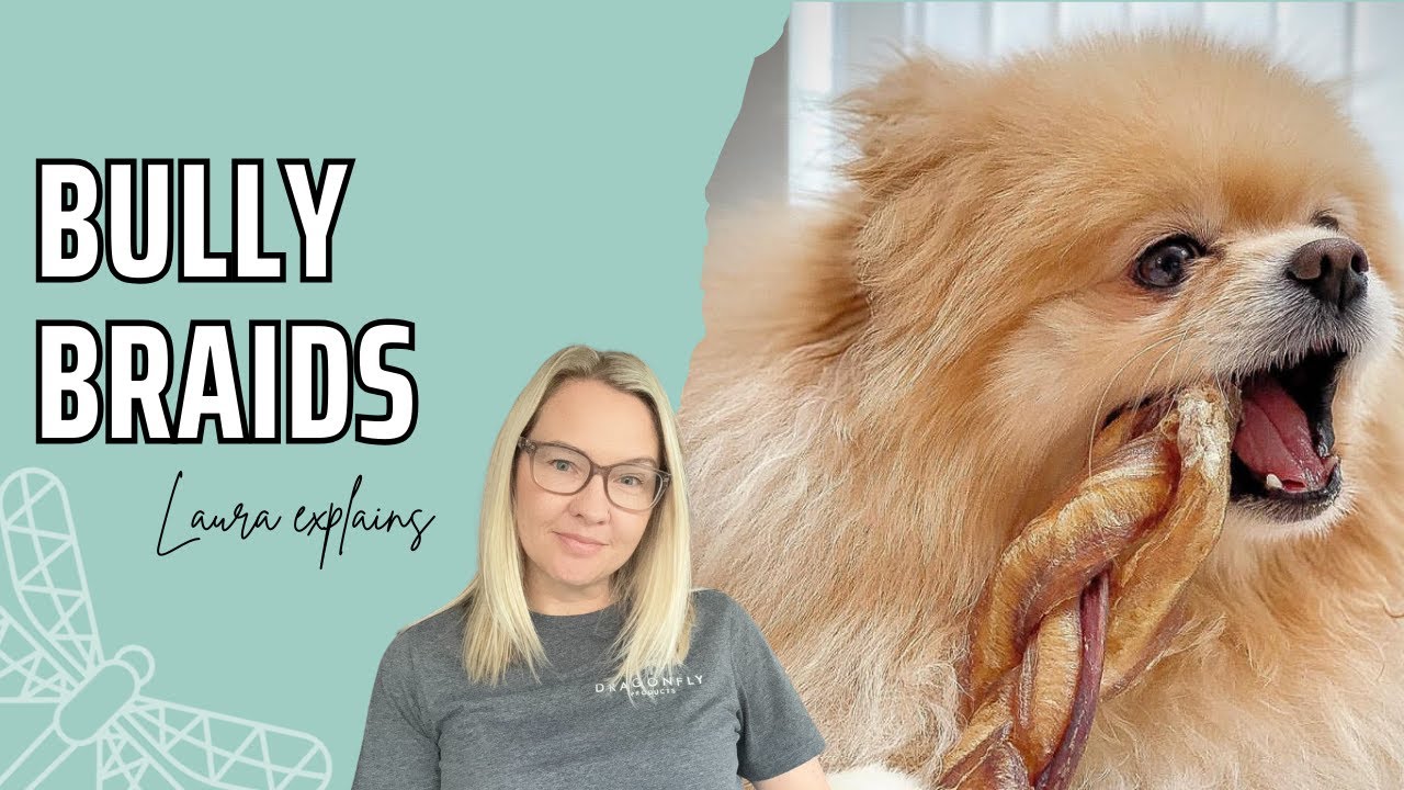 Bully Braids for Dogs | Video