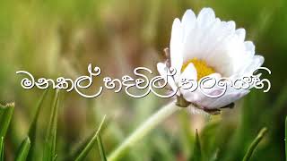 මනකල් හද විල් තලයේ /