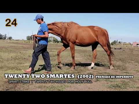 Lote TWENTY TWO SMARTES (USA)