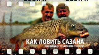 Где и на что ловят сазана в хабаровске