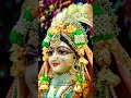 Radha Rani Status Man Bhul Mat Jaiyo Radha Rani Ke Charan Shorts Status