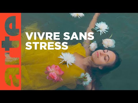 Slow down : comment vivre sans stress ?  | Twist | ARTE