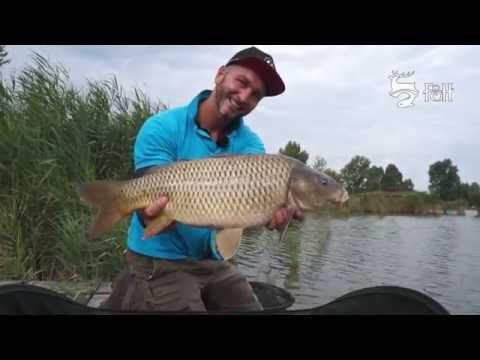 FEEDERMANIA - KIRÁLYPONTYokra feederbottal