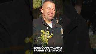 Sarıgöl’de "Yalancı Bahar" yaşanıyor!