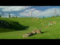 Teletubbies Custom Windmill 33 Magical Event