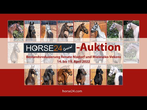 Horse24 Special-Auktion - 14. bis 19. April - Bestandsreduzierung Nixdorf und Mieleszko-Vekens