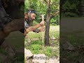 Installation Of A Telluric Tree And Plant Revitalizer @TheFertileCurrent