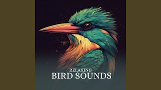 Download lagu Berkik mp3