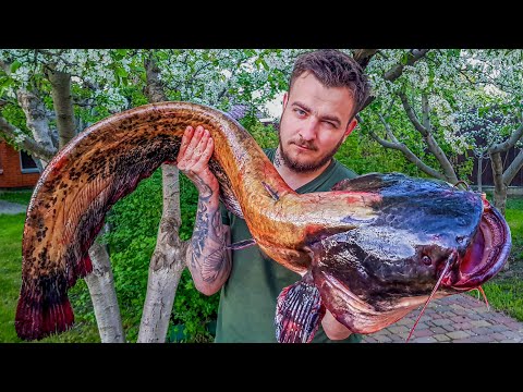 Cook a Huge Catfish In 60 Minutes! Cooking Show With a Man
