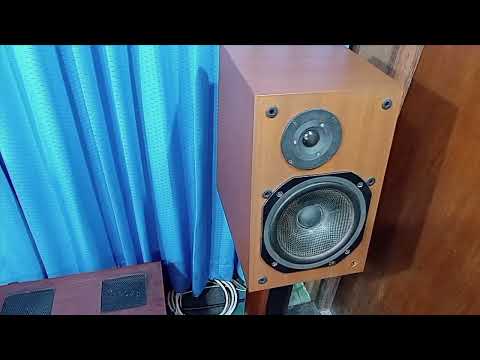 lungyim~Factor FP-5 - Technics SE-A100 - ToneWinner TY-30 HIFI CD Player ( 3 )