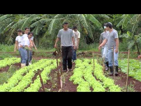 IFG - Instituto Federal Goiano - Campus Ceres