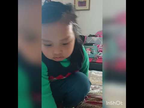 Welcome 🏠Peanut 😍#cockerspaniel #dog #doglovers #dogs