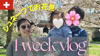 【1week vlog】ジュネーブ在住専業主婦のリアルな1週間🌸インター見学/お得チケット購入/託児所サービス/チョコイベント/フランスのスーパーで買い物/ひたすら公園遊び🛝