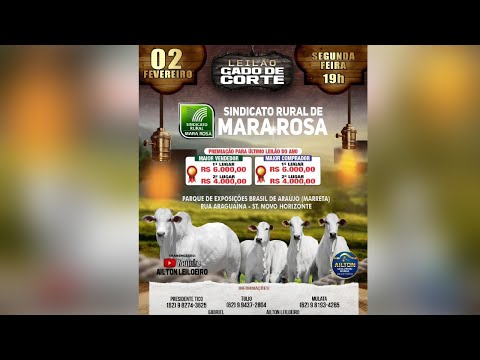 LEILÃO GADO DE CORTE - SINDICATO RURAL DE MARA ROSA 02/02/2026