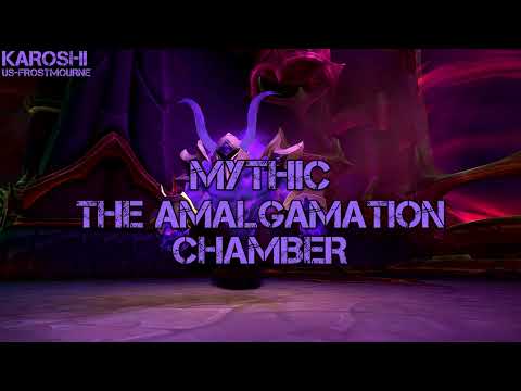 Karoshi vs. Mythic The Amalgamation Chamber - Protection Paladin POV