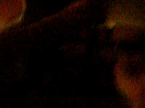 Destiny only happens when drunk