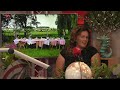 Yoga tussen de koeien in Swifterbant