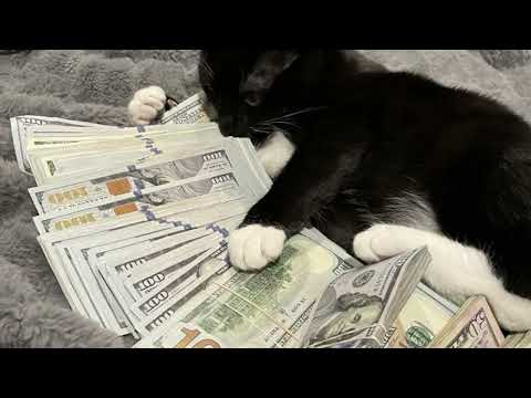 Lil Sai-M.O.B (feat.ROD3x)