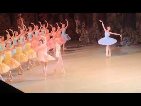 М.Ильюшкина, О.Новикова , Дон Кихот 31.07.21