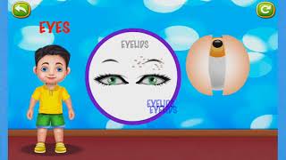 The Human Body for Kids | Learn about eyes| Educational cartoons