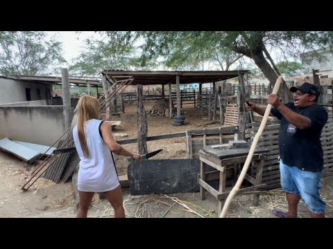 Rafinha just wanted to help Biro with the P4U 🤣 | @Rafinhadin