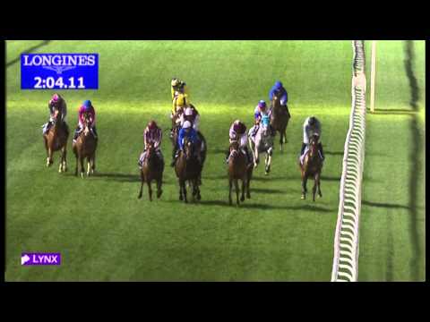 02.03.2013 Meydan (Dubai-UAE) 6.Race Natagora -  2.000 m