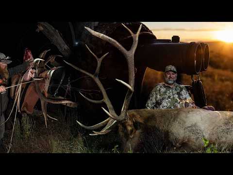 Arizona Early Rifle Elk - A Zero Outfitter Fees Hunt