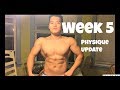 Fat Loss Progress Week 5 | Physique Update | Workout Showing | 比赛减脂饮食 第五周 | 身材更新 | 健身录制