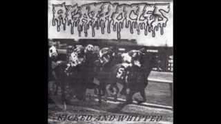 AGATHOCLES - Making Punk a farce again