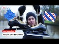 Elfstedentocht: giet it ooit nog oan? Dit moet je weten over de tocht der tochten | sportexplainer